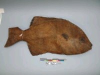 木雕浪人參魚chilat藏品圖，第4張